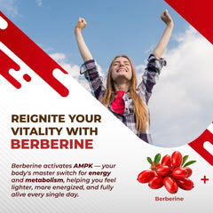 Nurafuse Berberine ingredients label highlights the 14 natural components in each capsule.