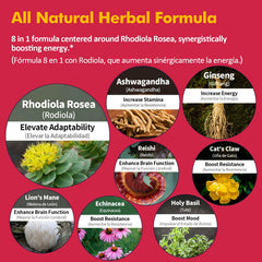Nurbetoxa bottle with glass of water showing easy 1 ml dose for energy