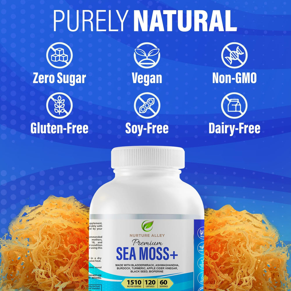 NURTURE ALLEY daily supplement routine setup for modern wellness.