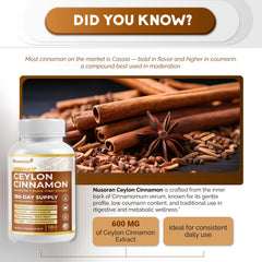 NUSORAN Cinnamon capsules close-up showing liposomal delivery for better absorption.