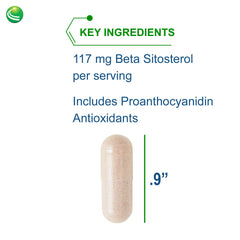 Nutra BioGenesis Sterol 117 phytosterol complex supporting overall wellness