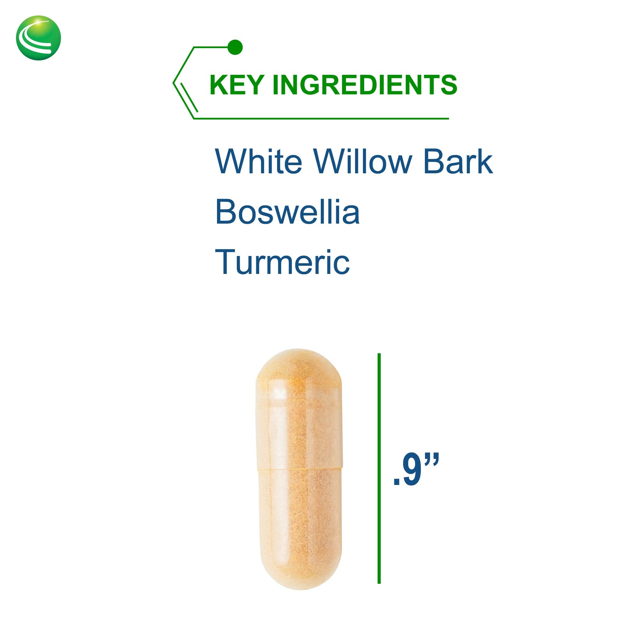 Nutra BioGenesis White Willow Forte enzyme blend capsules aiding protein digestion.