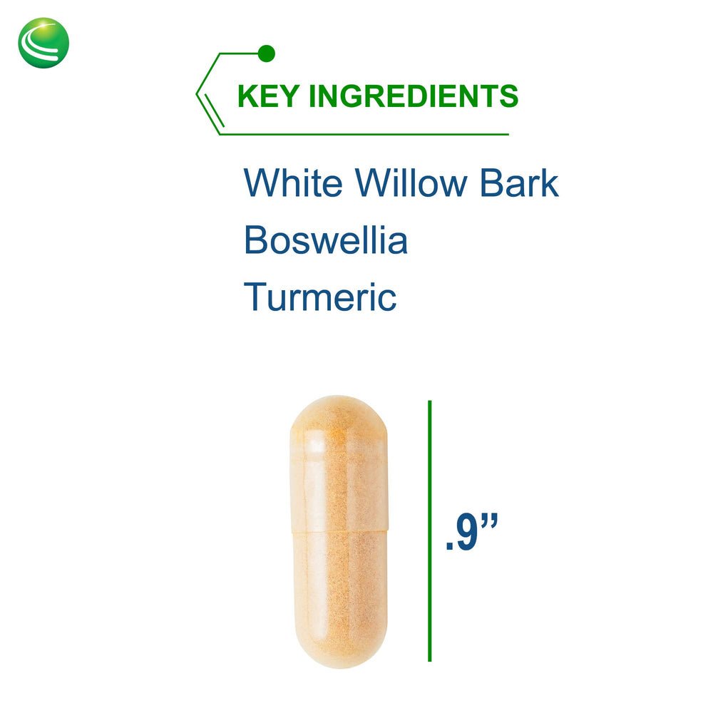 Nutra BioGenesis White Willow Forte enzyme blend capsules aiding protein digestion.