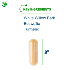 Nutra BioGenesis White Willow Forte enzyme blend capsules aiding protein digestion.