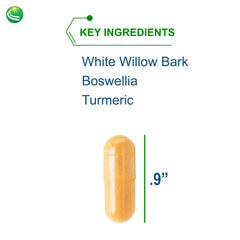 Front label of Nutra BioGenesis White Willow Forte showing key ingredients
