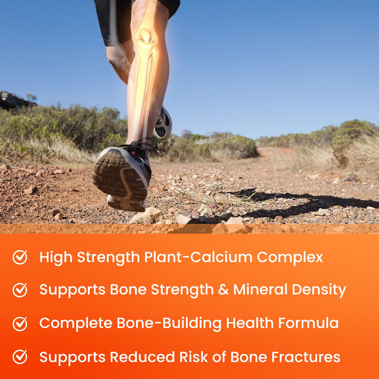 NutraChamps Calcium cofactors illustration emphasizes a complete absorption-friendly formula