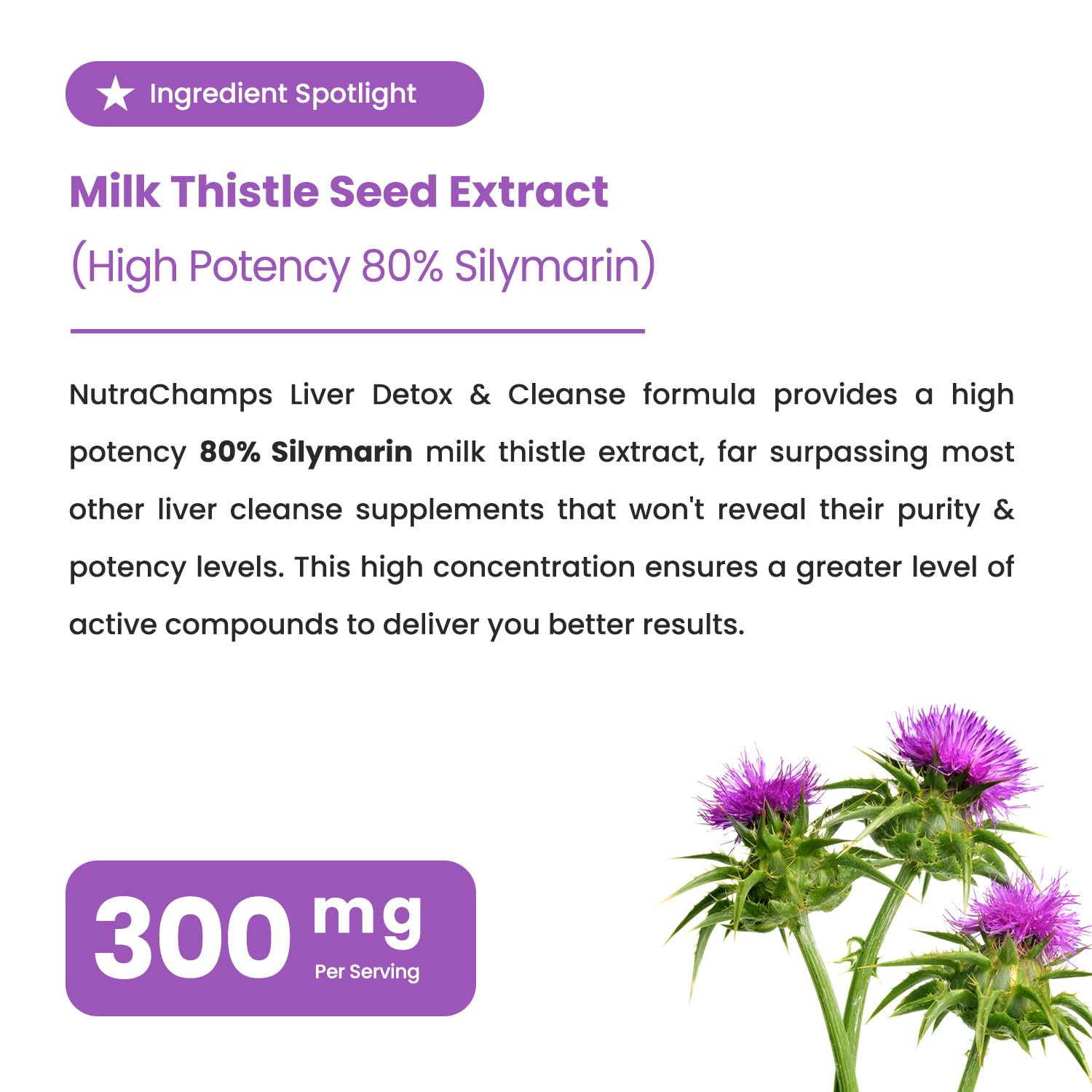 Dandelion root extract in NutraChamps detox formula.