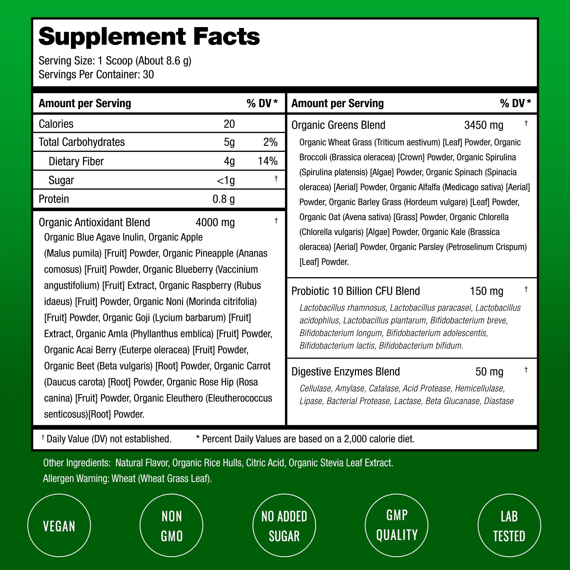 NutraChamps Super Greens Powder being stirred for fast daily use