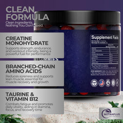 NutraFlus Creatine Monohydrate Gummies berry packaging shows clean vegan ingredients for active lifestyles