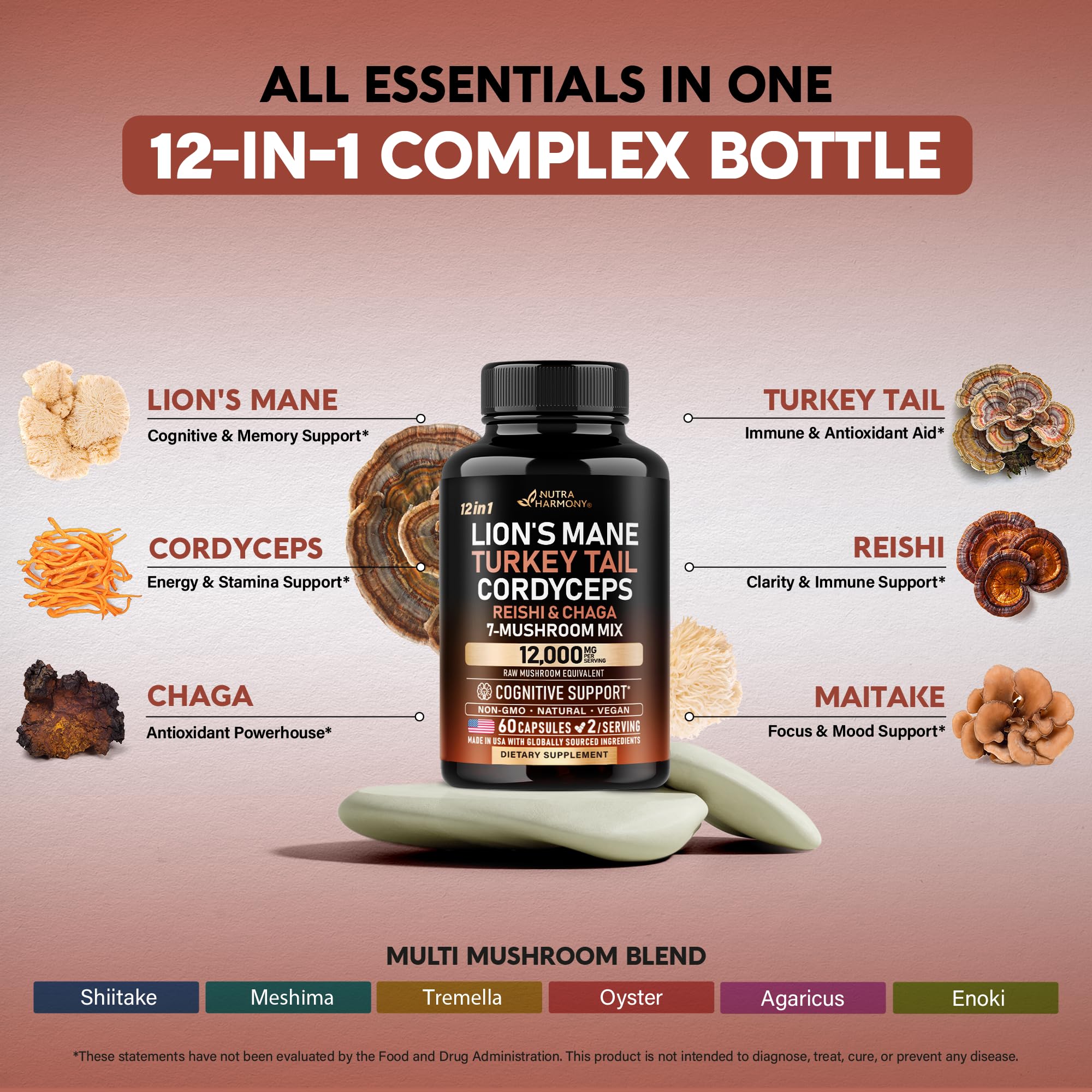 NutraHarmony Chaga capsule supports antioxidant-rich daily wellness