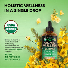 NutraHarmony Mullein Drops USDA Organic seal signals clean ingredients.