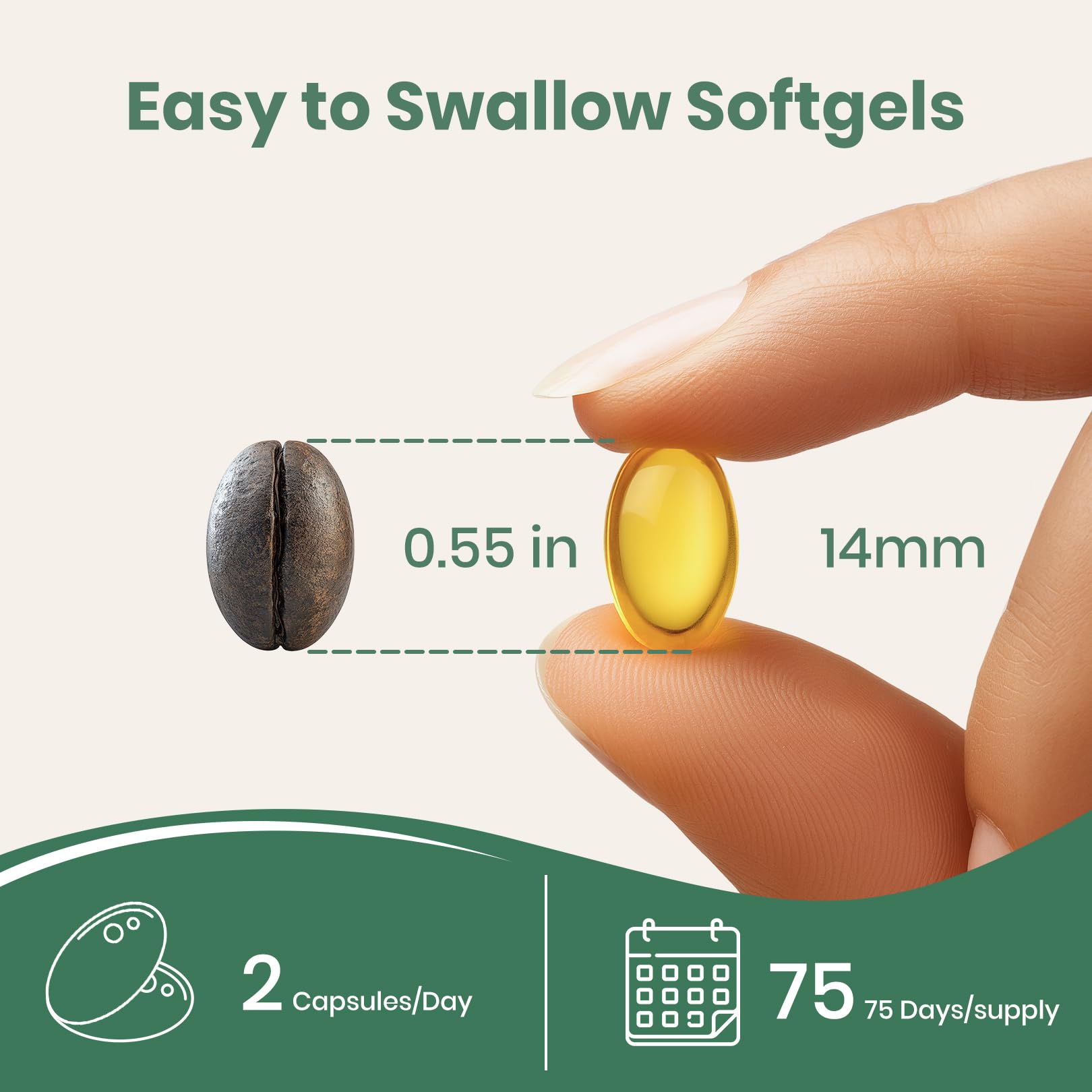 NUTRAJOY oregano and black seed oil ingredient close-up for immune support.