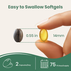 NUTRAJOY oregano and black seed oil ingredient close-up for immune support.