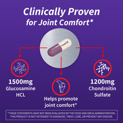 Nutramax Cosamin DS bottle label with glucosamine and chondroitin ingredients.