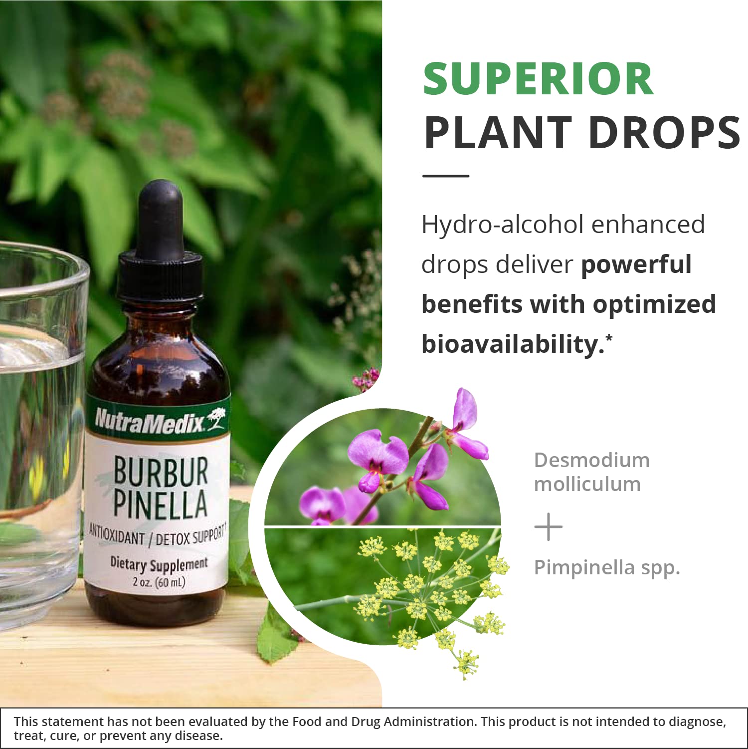 NutraMedix Burbur-Pinella back-label details usage and detox guidance.