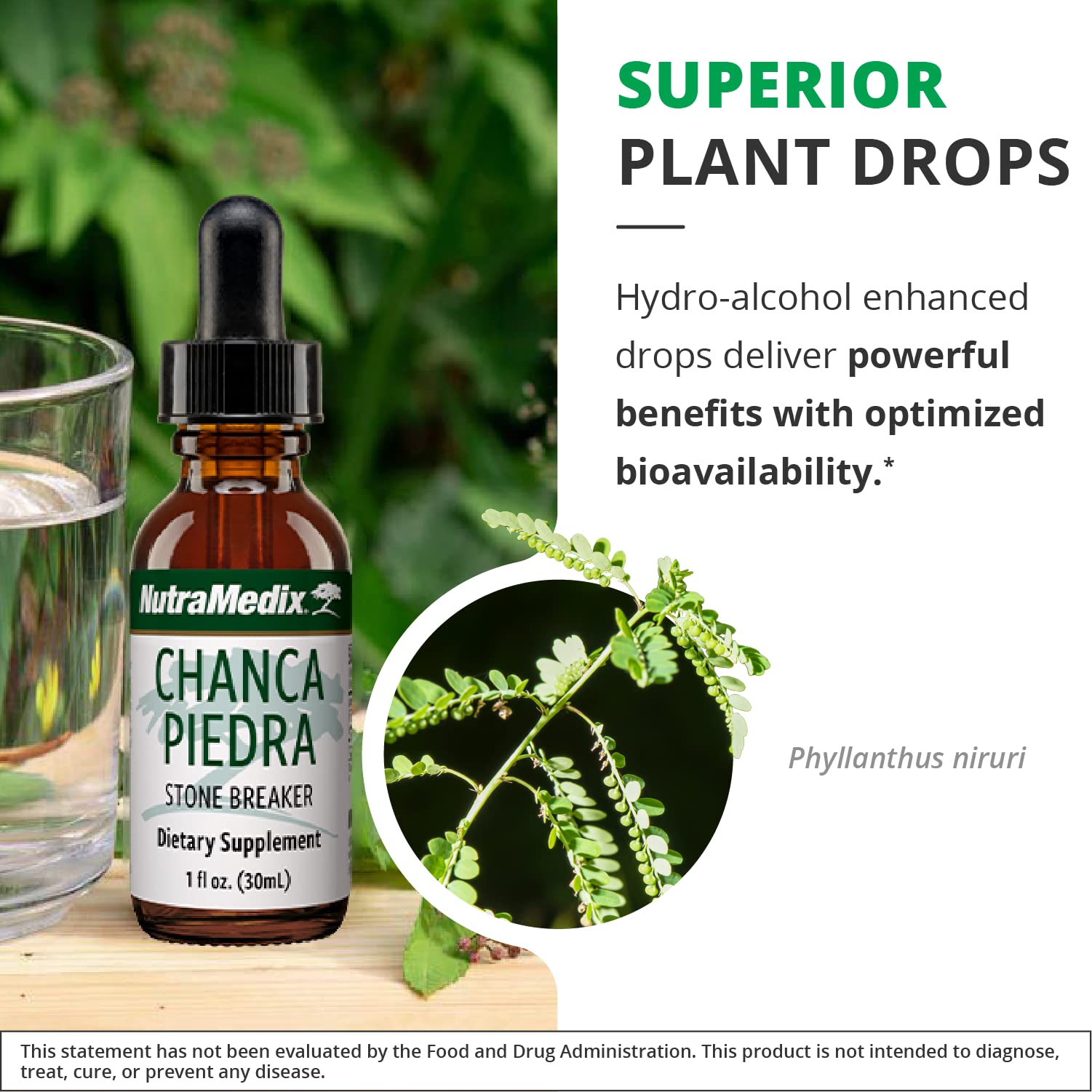 NutraMedix Chanca Piedra drops dispensed into water for easy mixing.