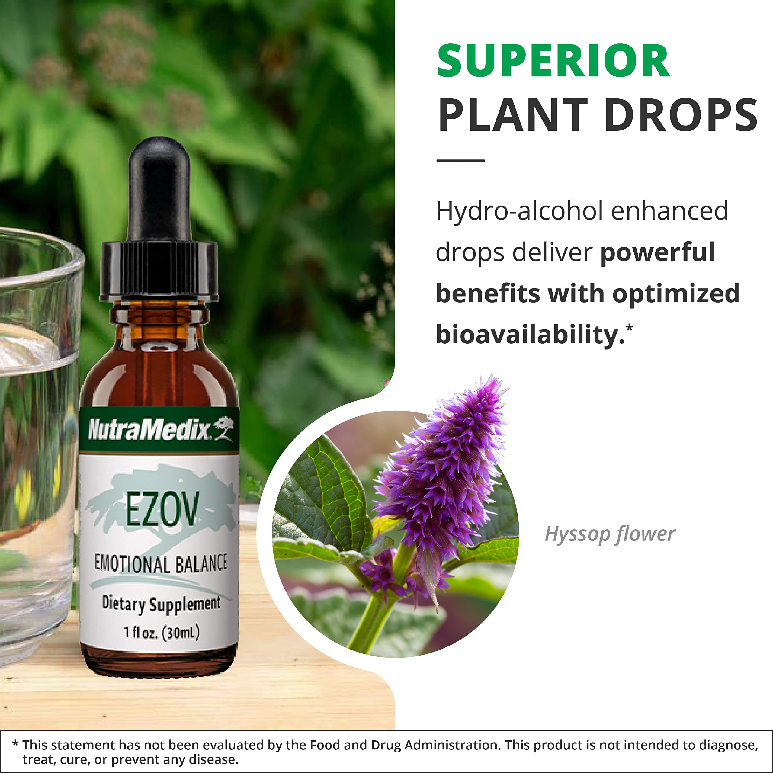 NutraMedix Ezov Hyssop leaf detail showcases plant-based extract.
