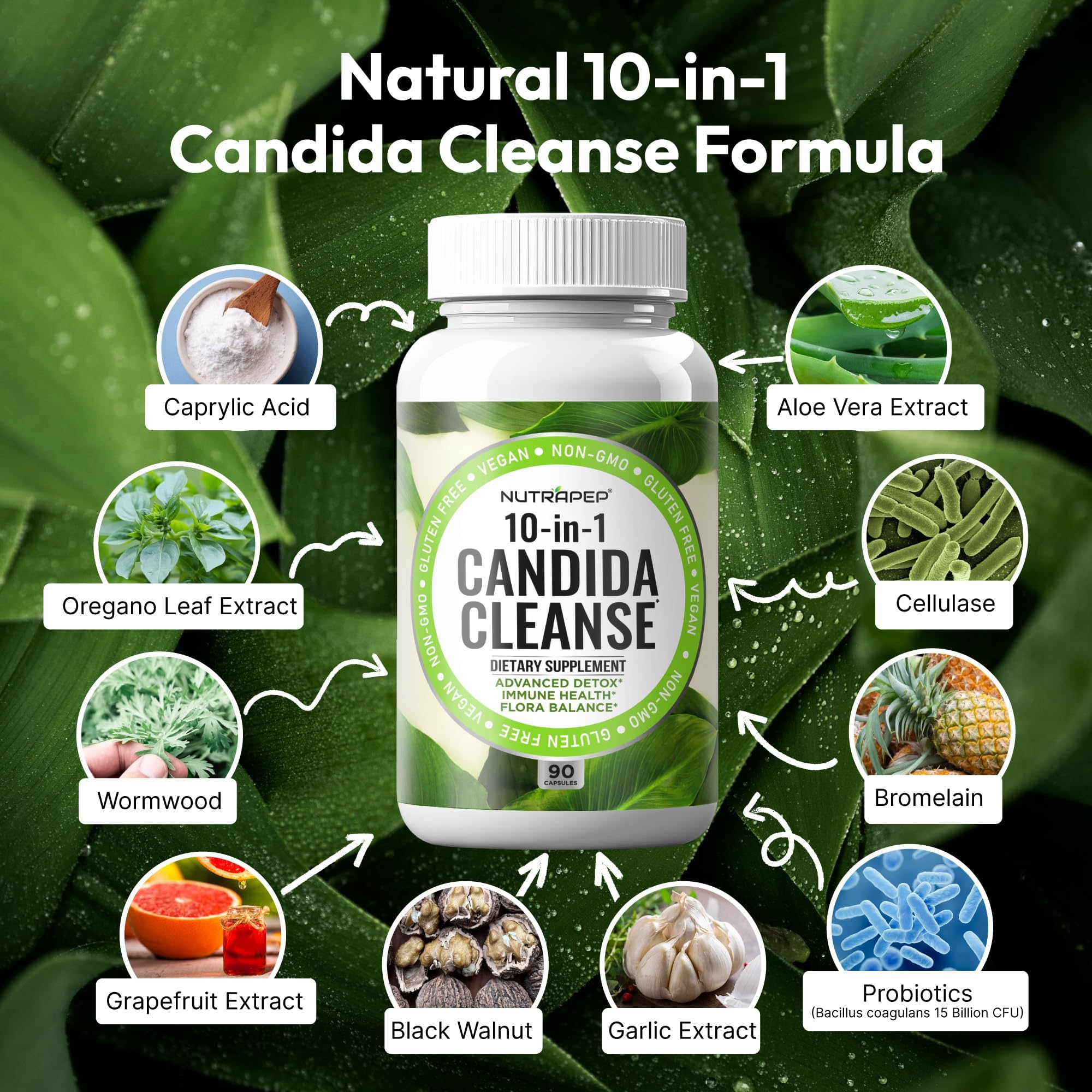 NutraPep Candida Cleanse capsules for daily digestive comfort