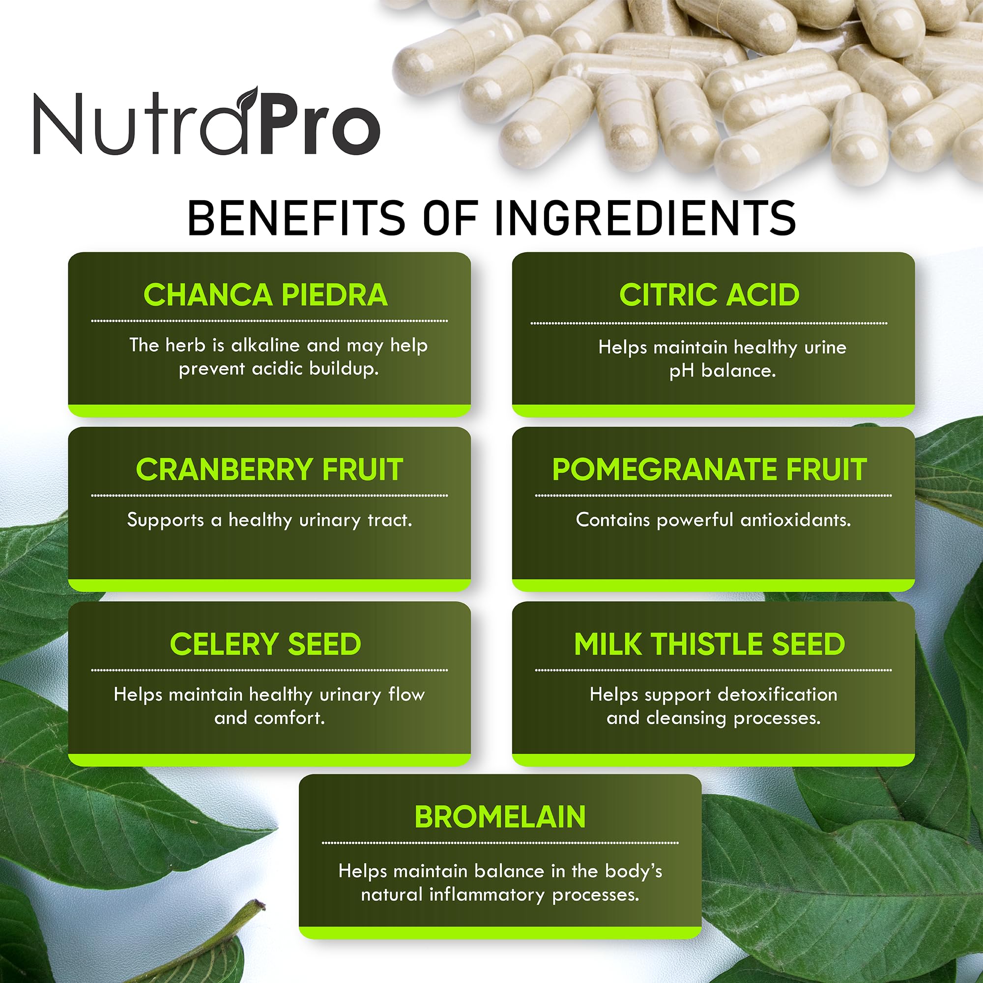 NutraPro made in USA in GMP-certified facilities ensuring quality