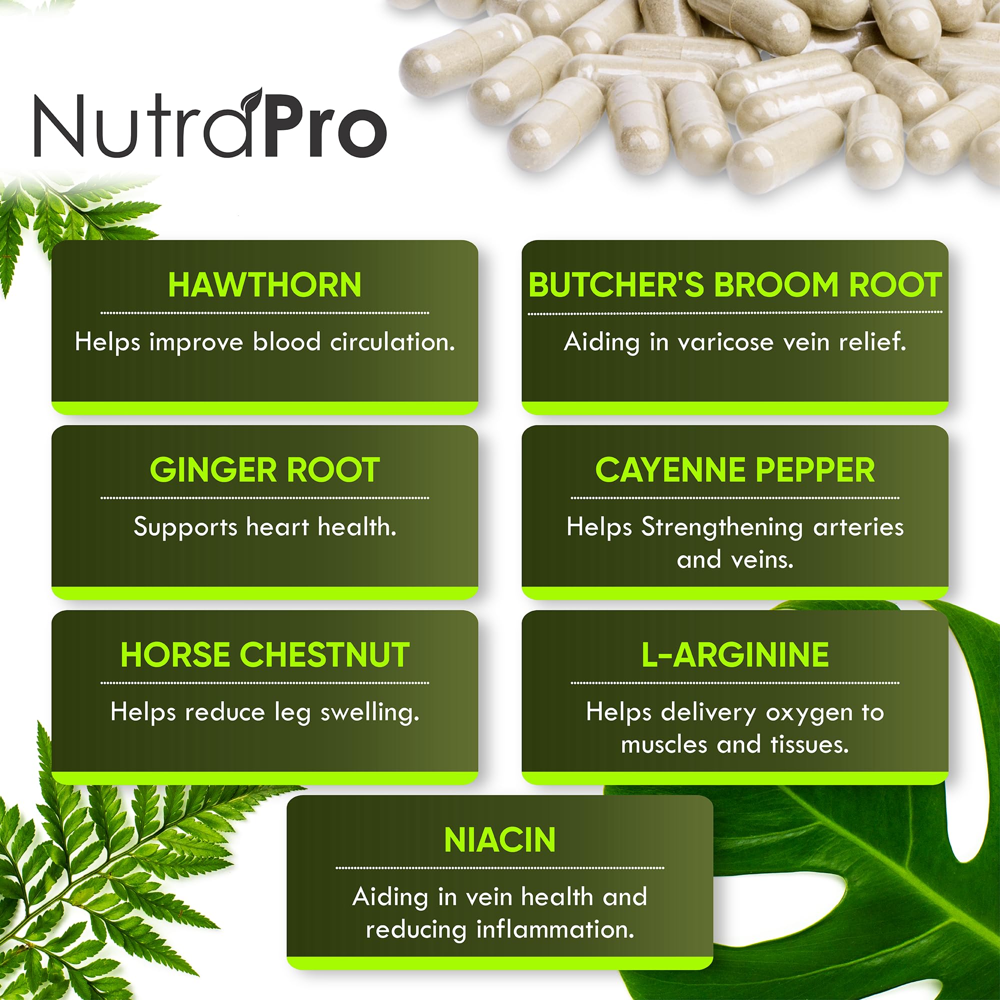 NutraPro USA GMP facilities shot conveys quality manufacturing standards.