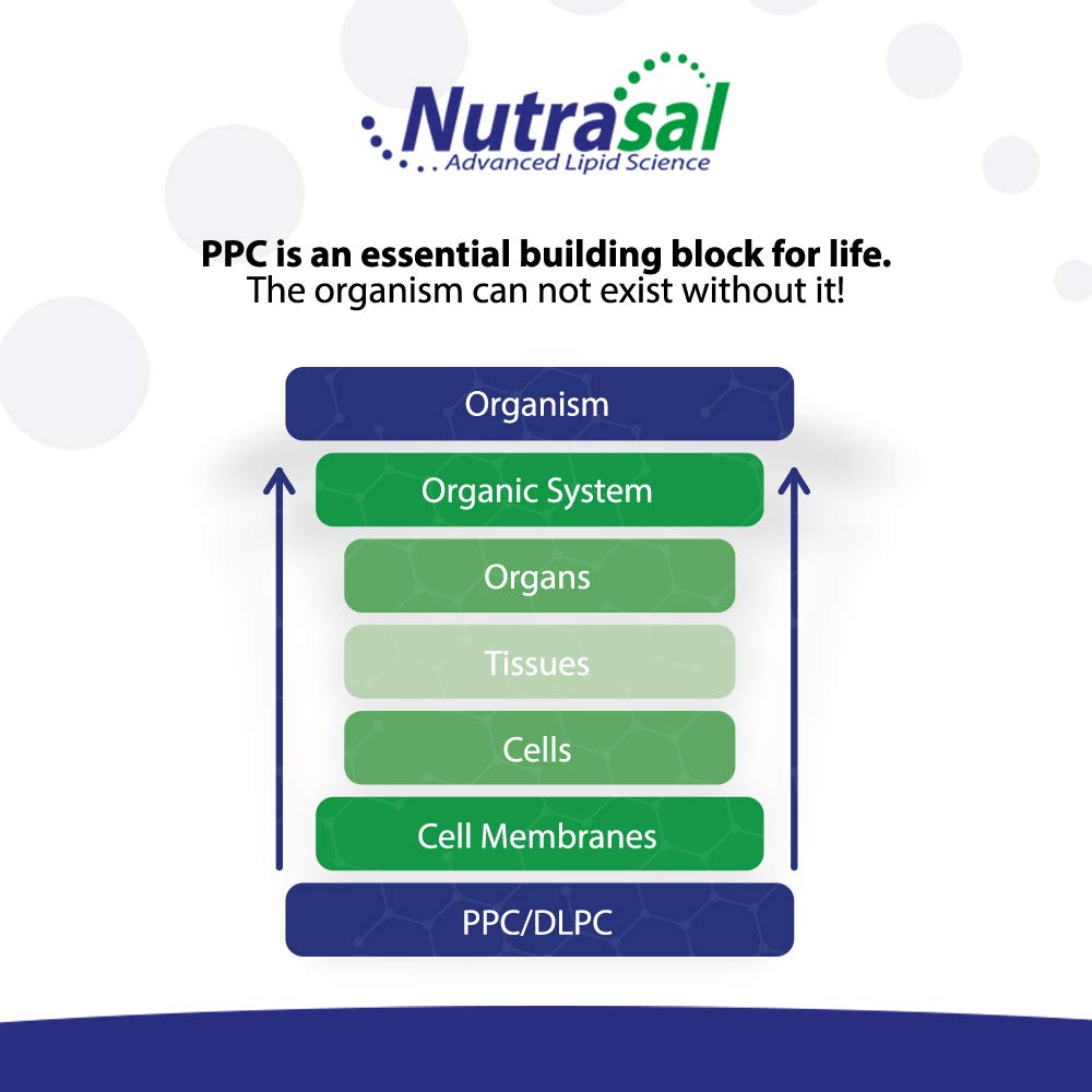 Spoonful of Nutrasal PhosChol liquid for convenient ingestion.