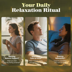 Nutrastaste six mushrooms support resilience and cognitive balance.