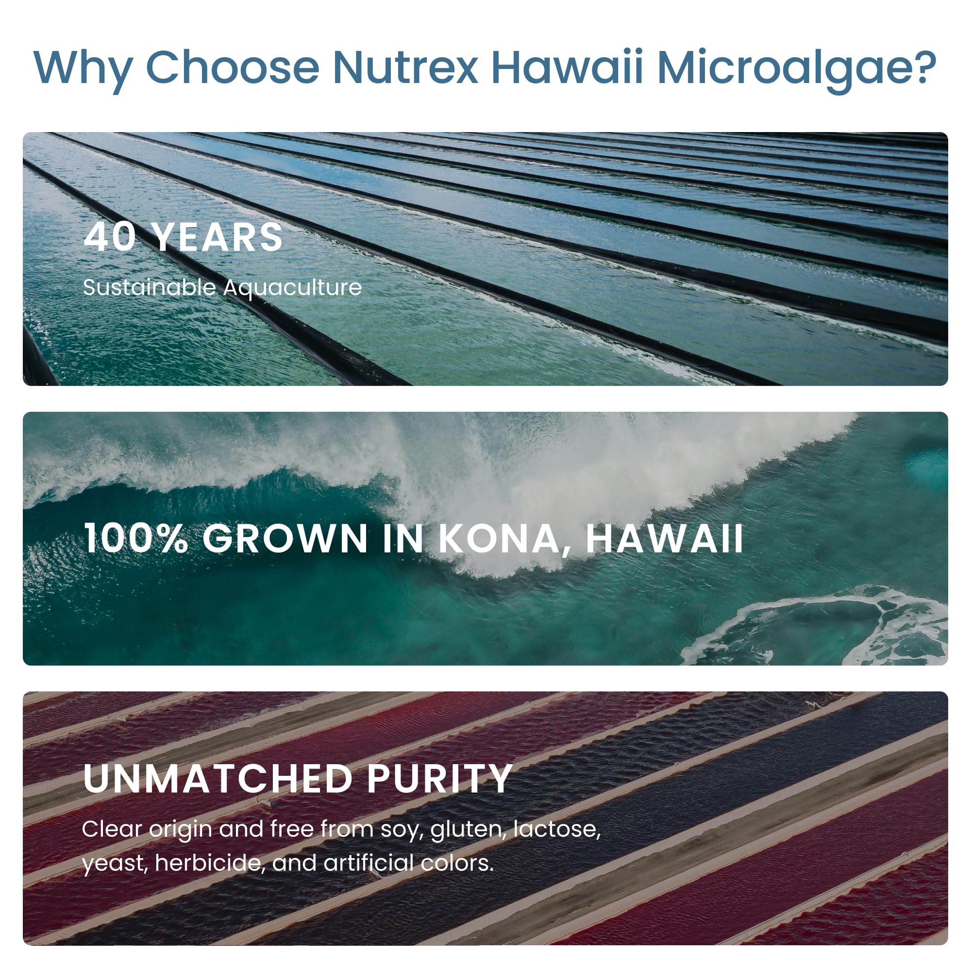 Non-GMO certified Nutrex Hawaii spirulina powder demonstrates clean sourcing.