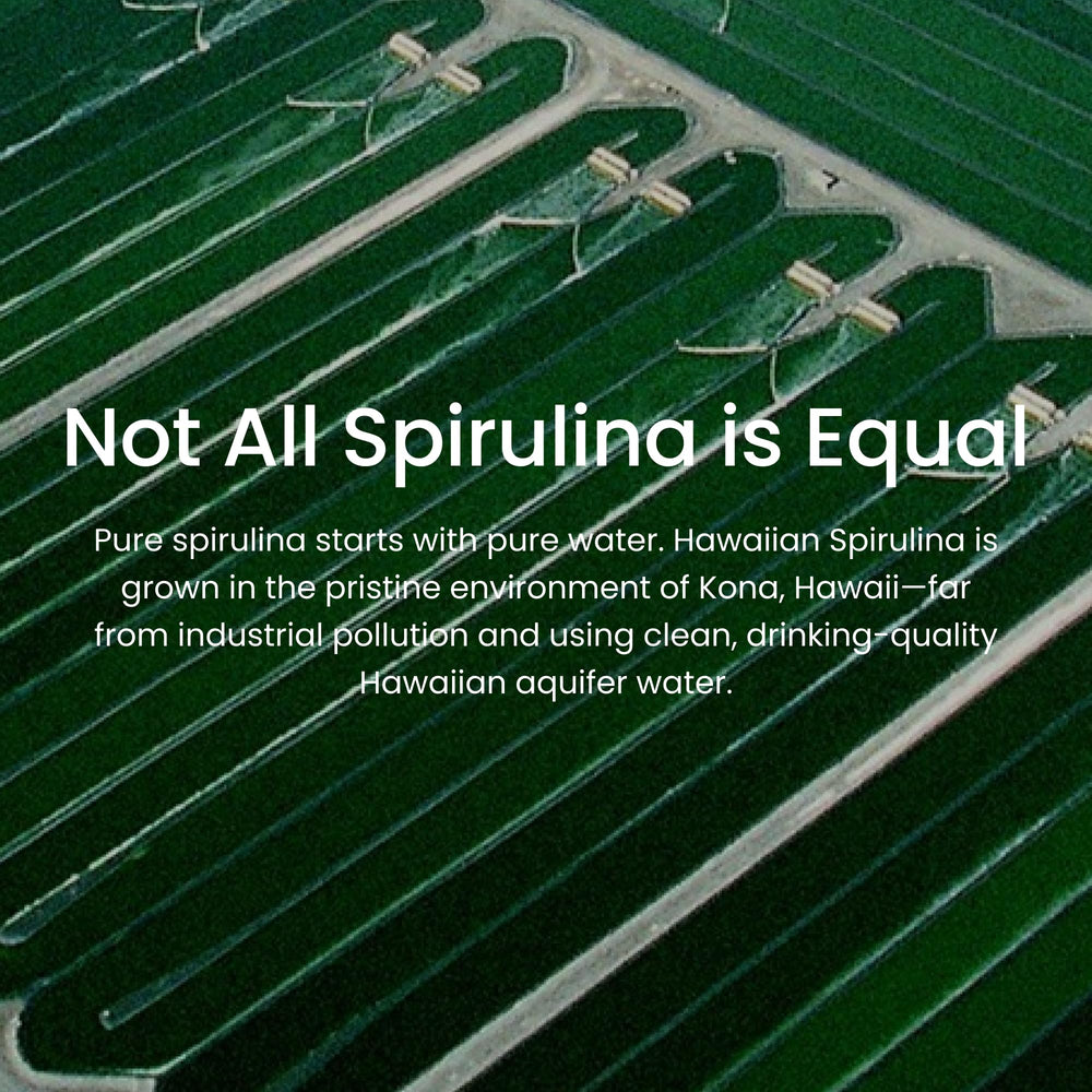 Spirulina powder from Nutrex Hawaii stirred into tea for a plant-based boost.
