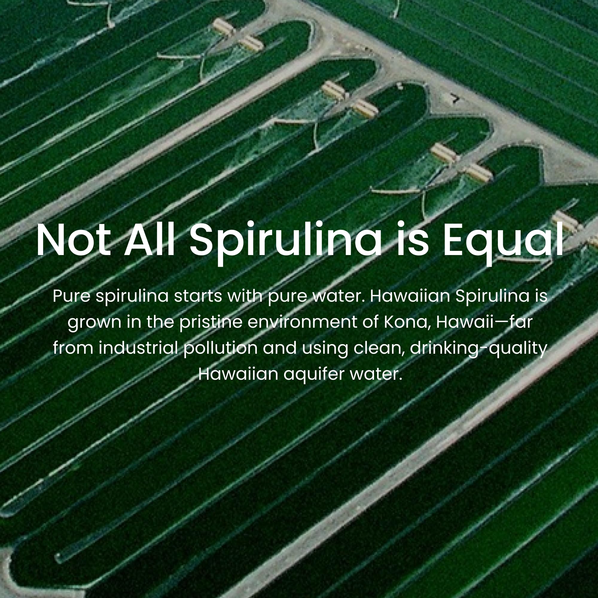 Nutrex Hawaii spirulina packaging shows vegan, kosher, halal suitability