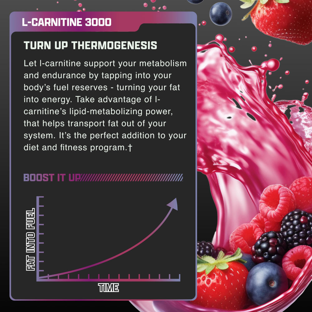 Nutrex L-Carnitine 3000 gym setup promotes steady energy during training.