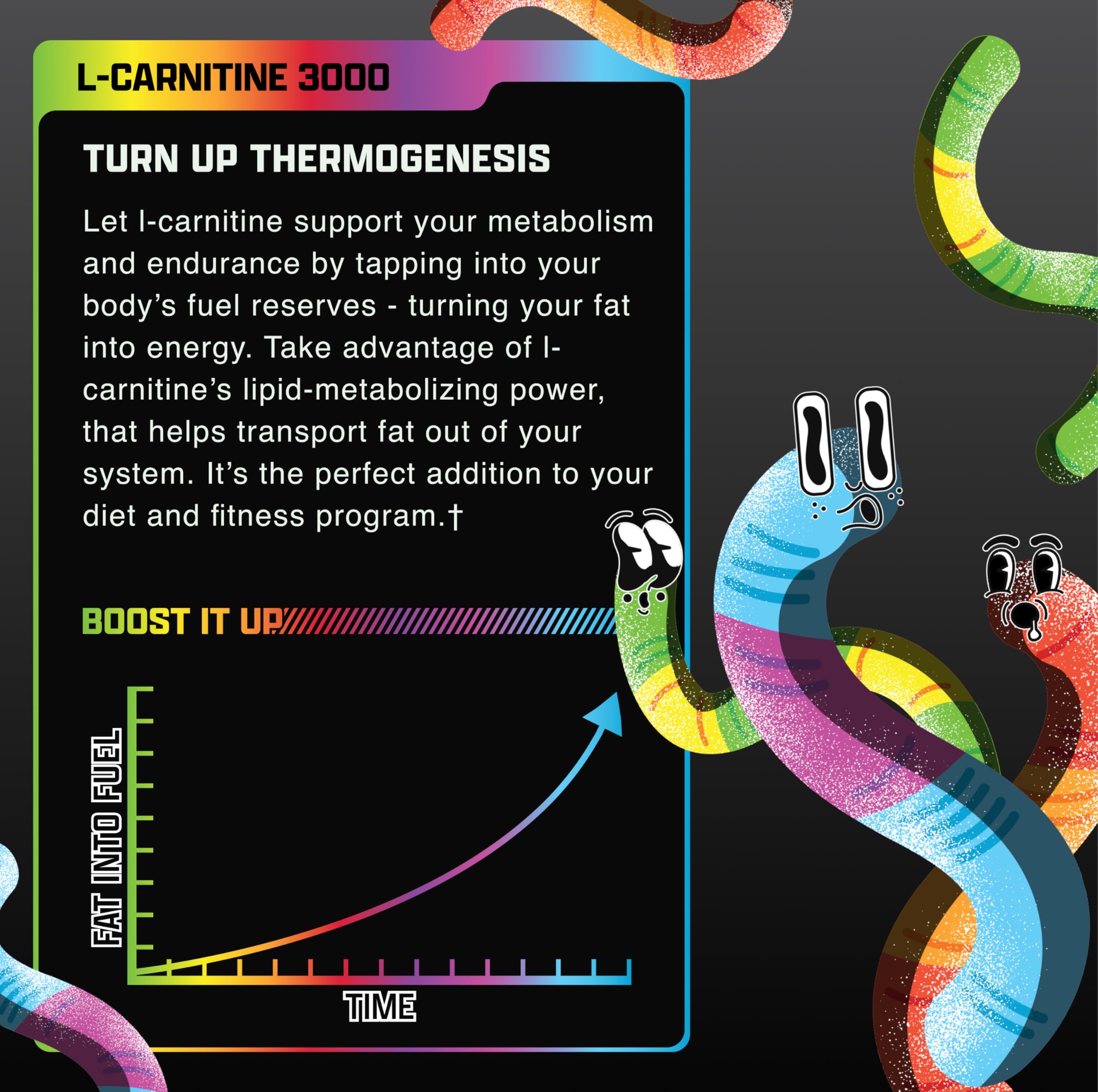 Back-label close-up shows clinically dosed L-Carnitine for quality and purity