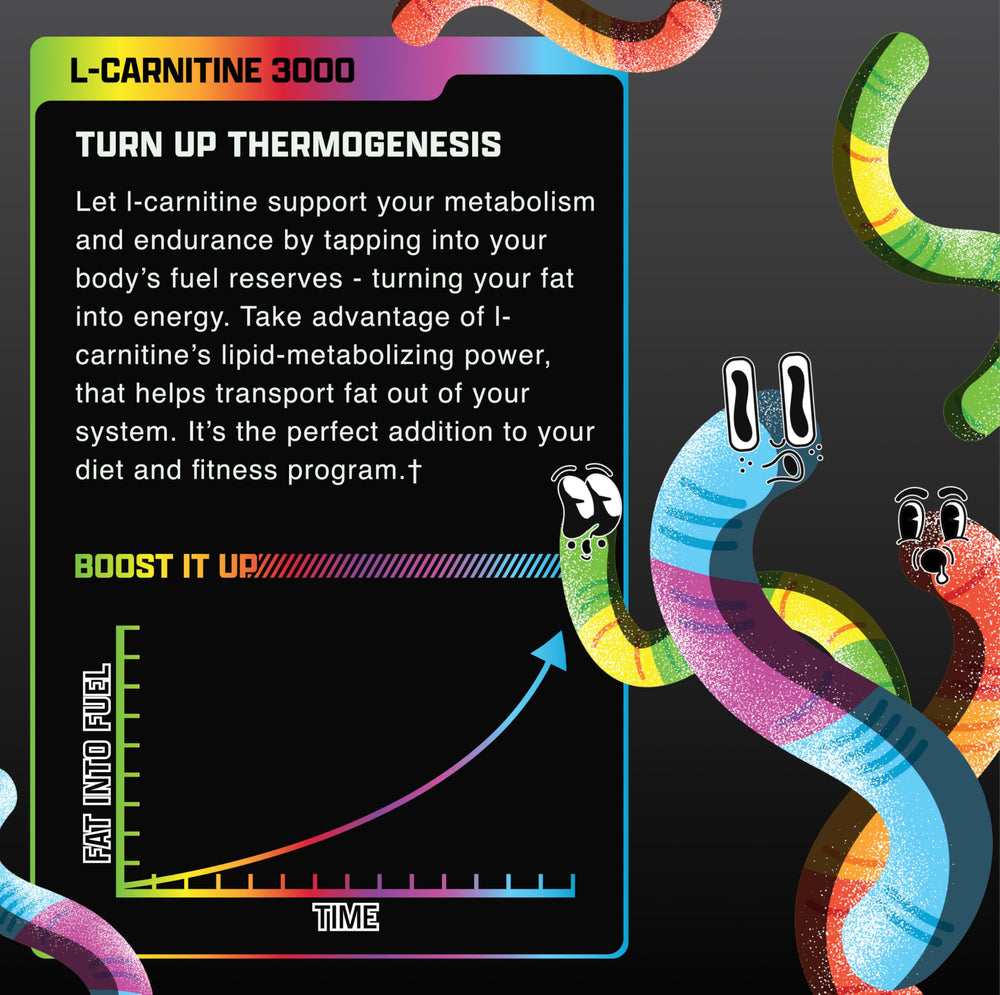Back-label close-up shows clinically dosed L-Carnitine for quality and purity