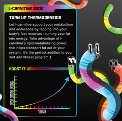 Back-label close-up shows clinically dosed L-Carnitine for quality and purity