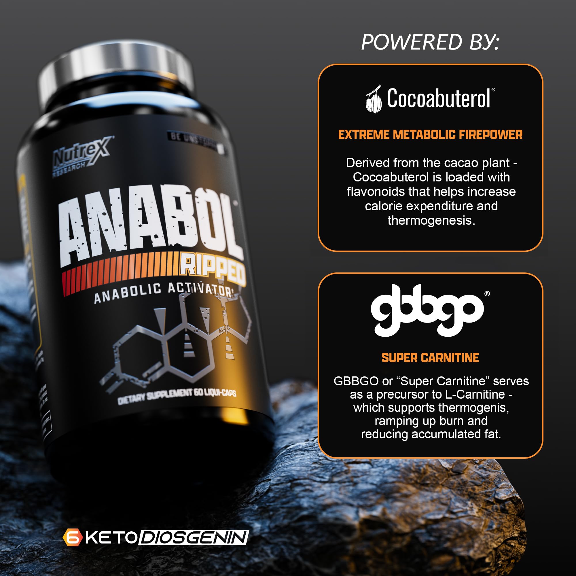 Nutrex Research Anabol Ripped packaging scene with shaker suggests on-the-go use.