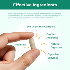 Nutri-Echo Wellness 900mg enzymes and probiotics blend detail