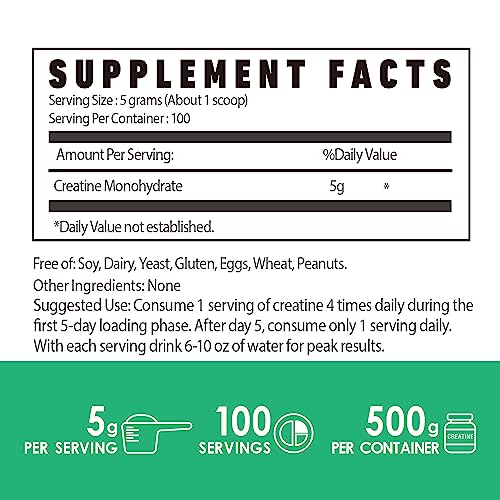 Nutri Potentia Creatine Monohydrate Powder scoop measures a daily 5 g serving.