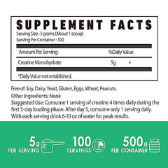 Nutri Potentia Creatine Monohydrate Powder scoop measures a daily 5 g serving.