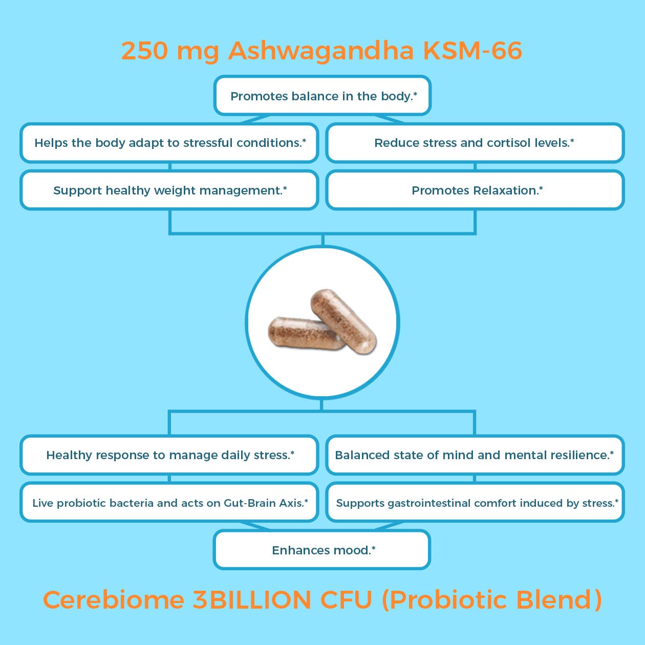 Nutricelebrity ashwagandha-ksm-66 ingredient focus for daily stress response