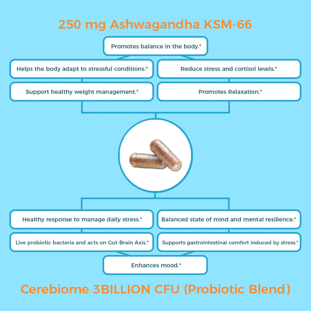 Nutricelebrity ashwagandha-ksm-66 ingredient focus for daily stress response