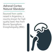 Nutricology Adrenal Support packaging notes bovine glandular origin.