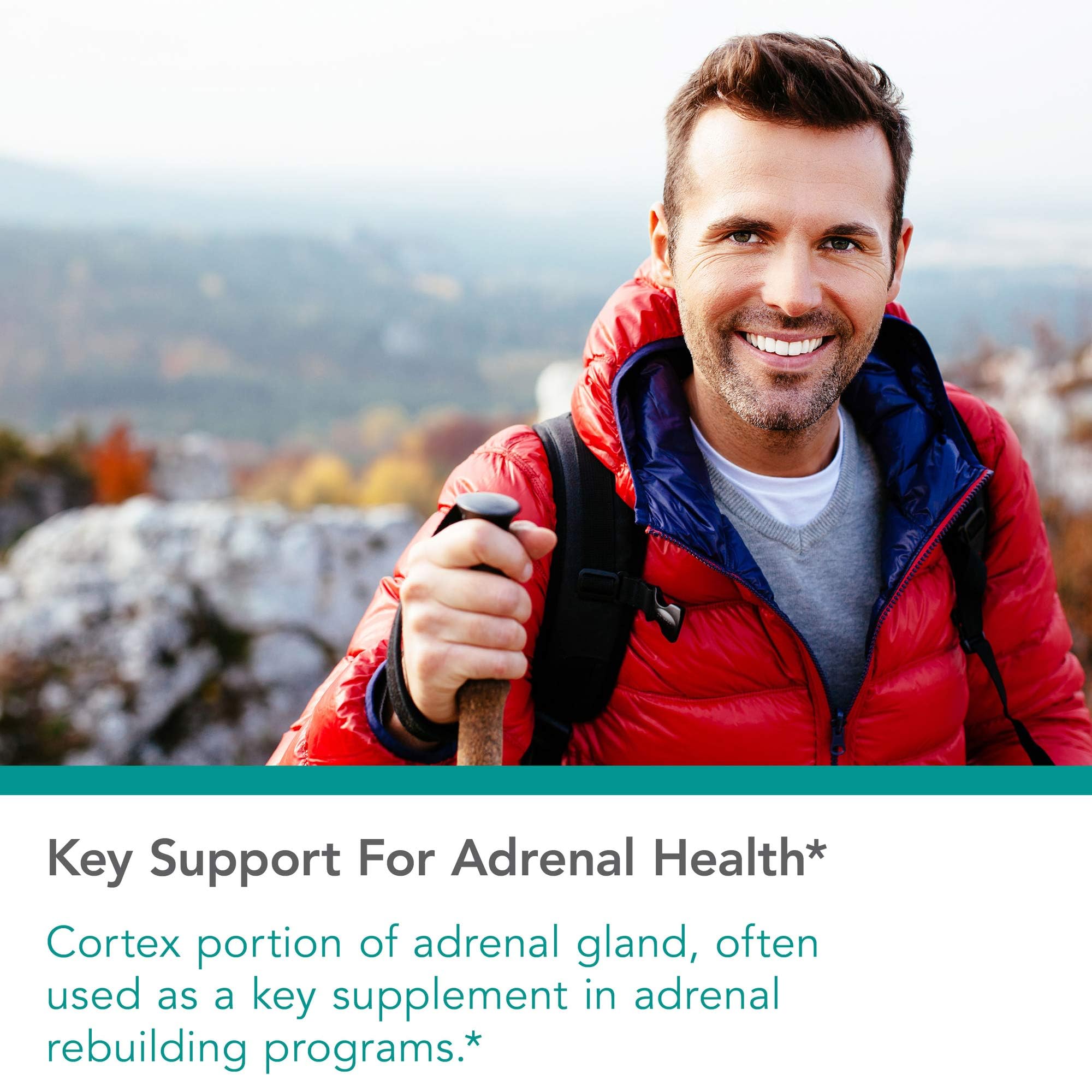 Lyophilized adrenal extract image in Nutricology formula.