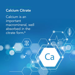 Nutricology Calcium Citrate daily dosing scene suggests spread dosing for absorption.