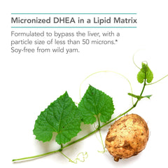 Nutricology DHEA 25mg label with full ingredient disclosure for transparency