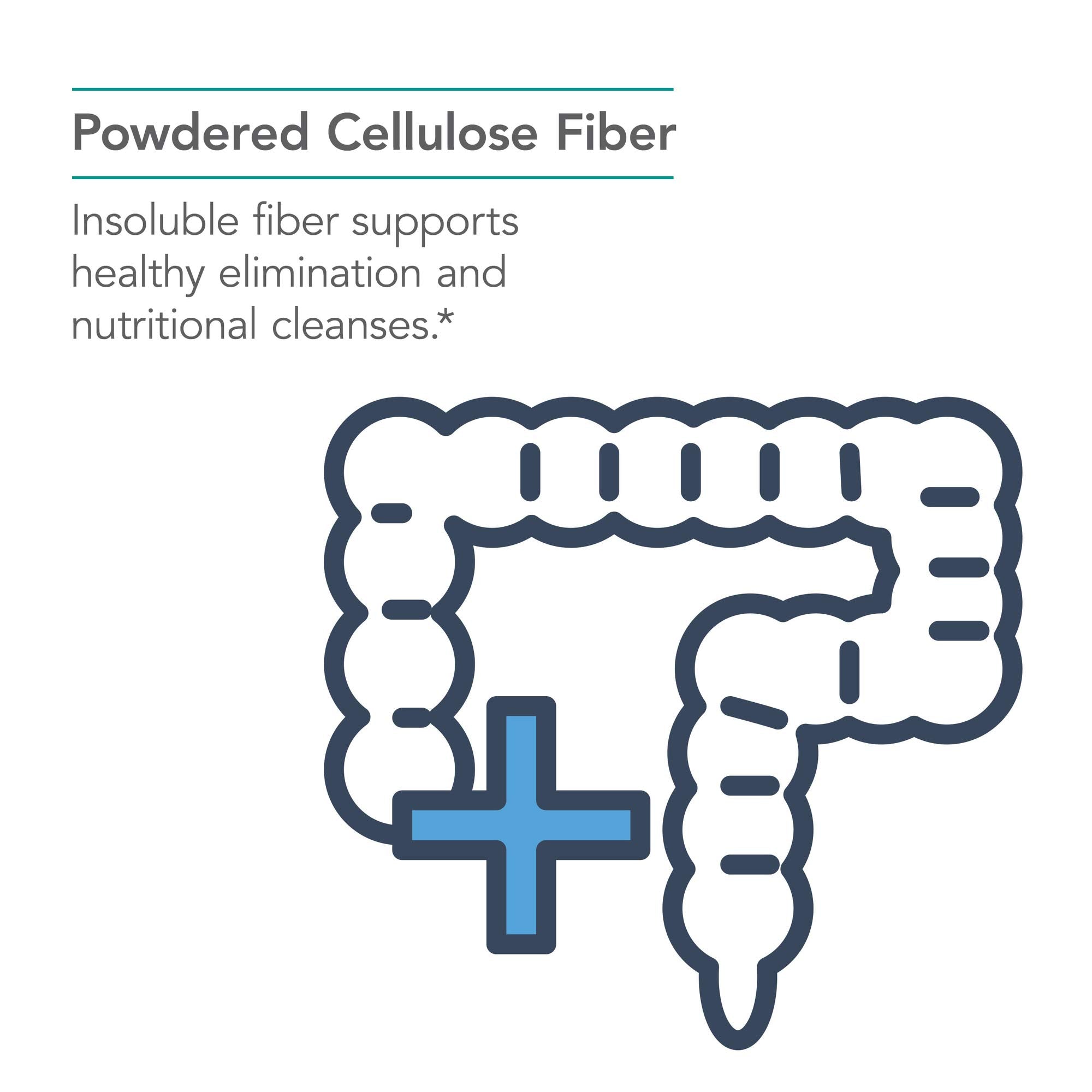 Nutricology dietary fiber powder teaspoon for precise daily dosage