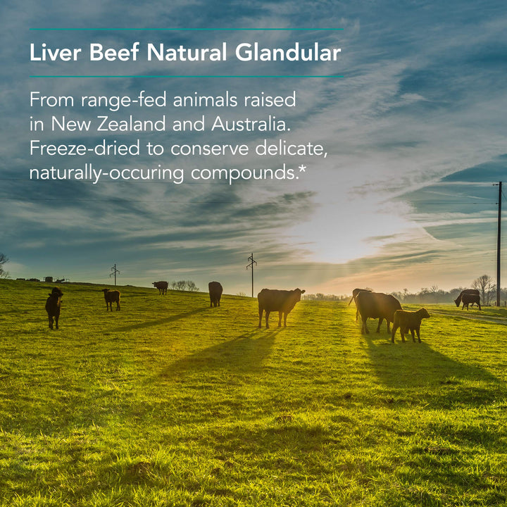 Nutricology Liver Beef Vegi Caps packaging on store shelf