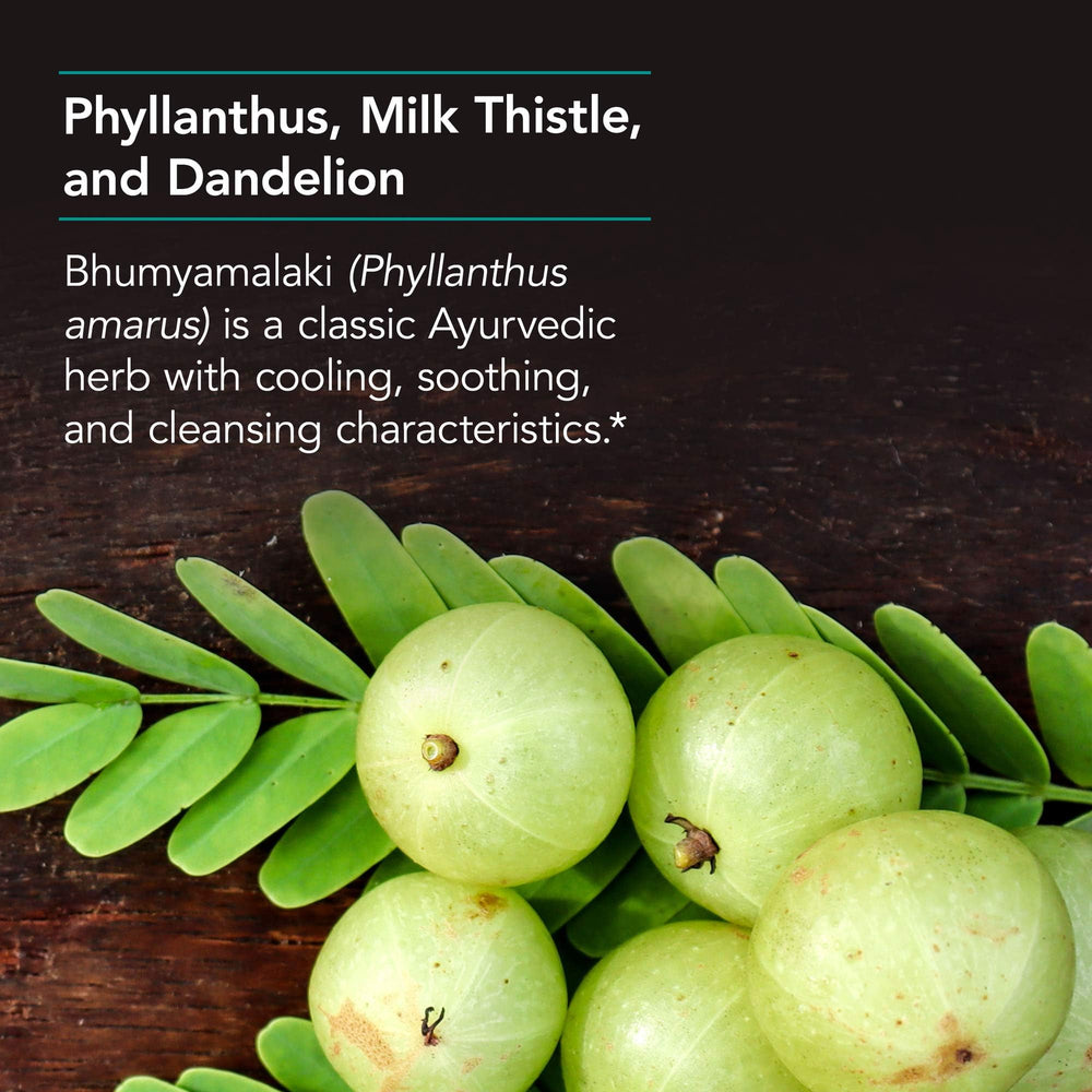 Daily-use setup with Nutricology Phyllantus Complex capsules and a glass of water.