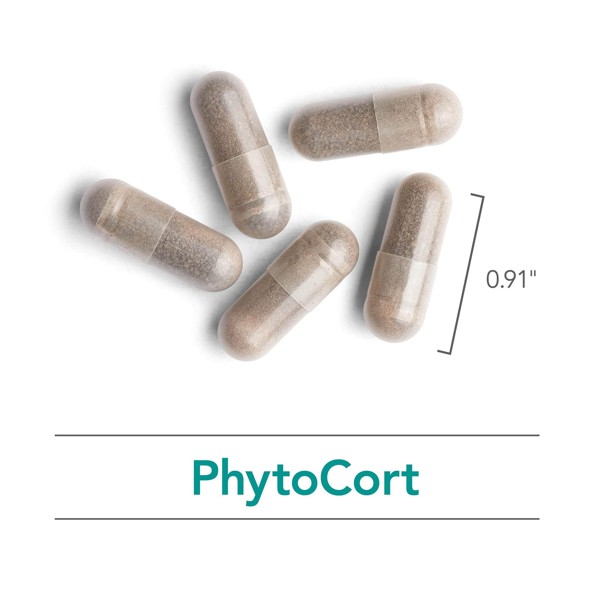 Nutricology PhytoCort adrenal-support icon representing balanced energy