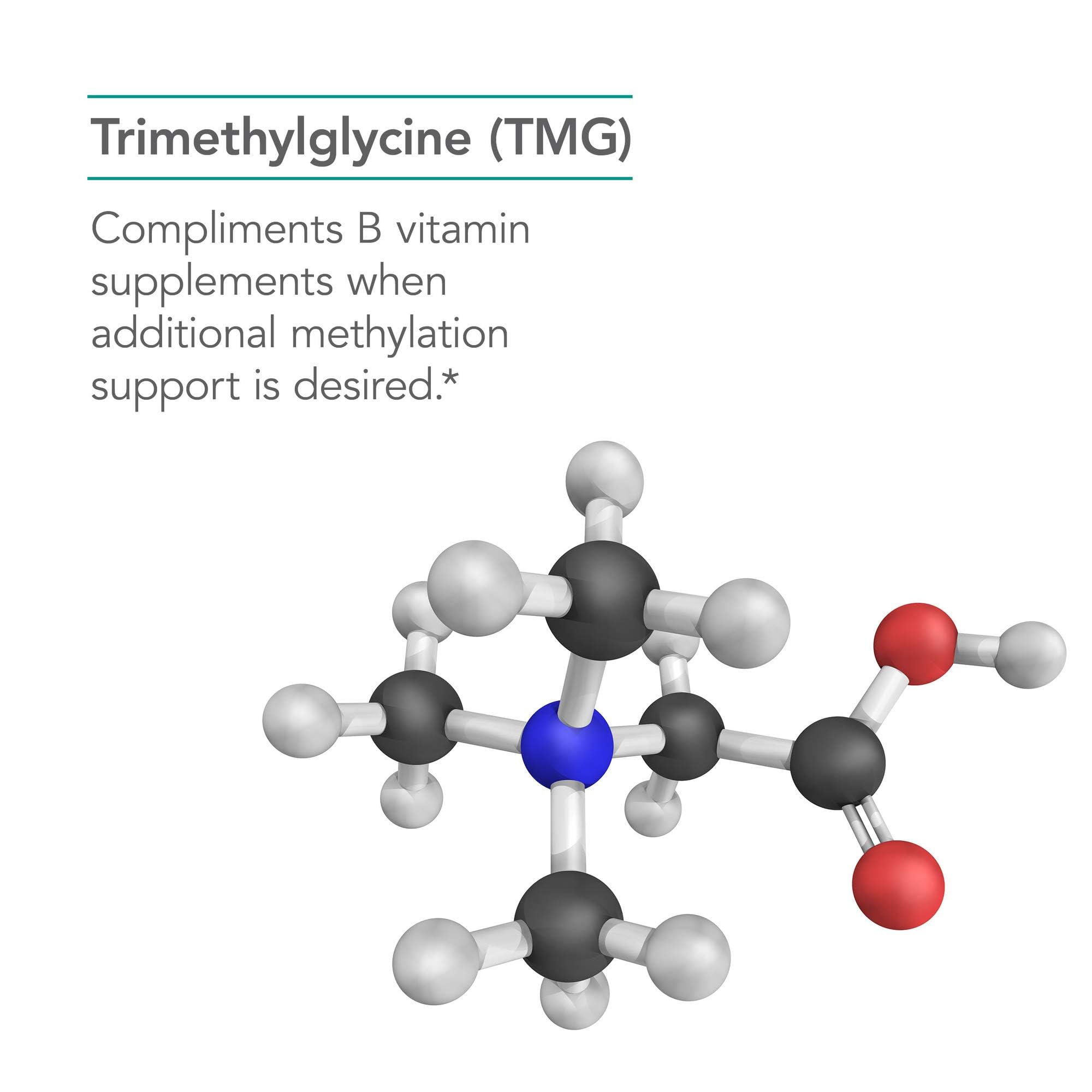 Nutricology TMG capsule close-up shows vegetarian capsule.