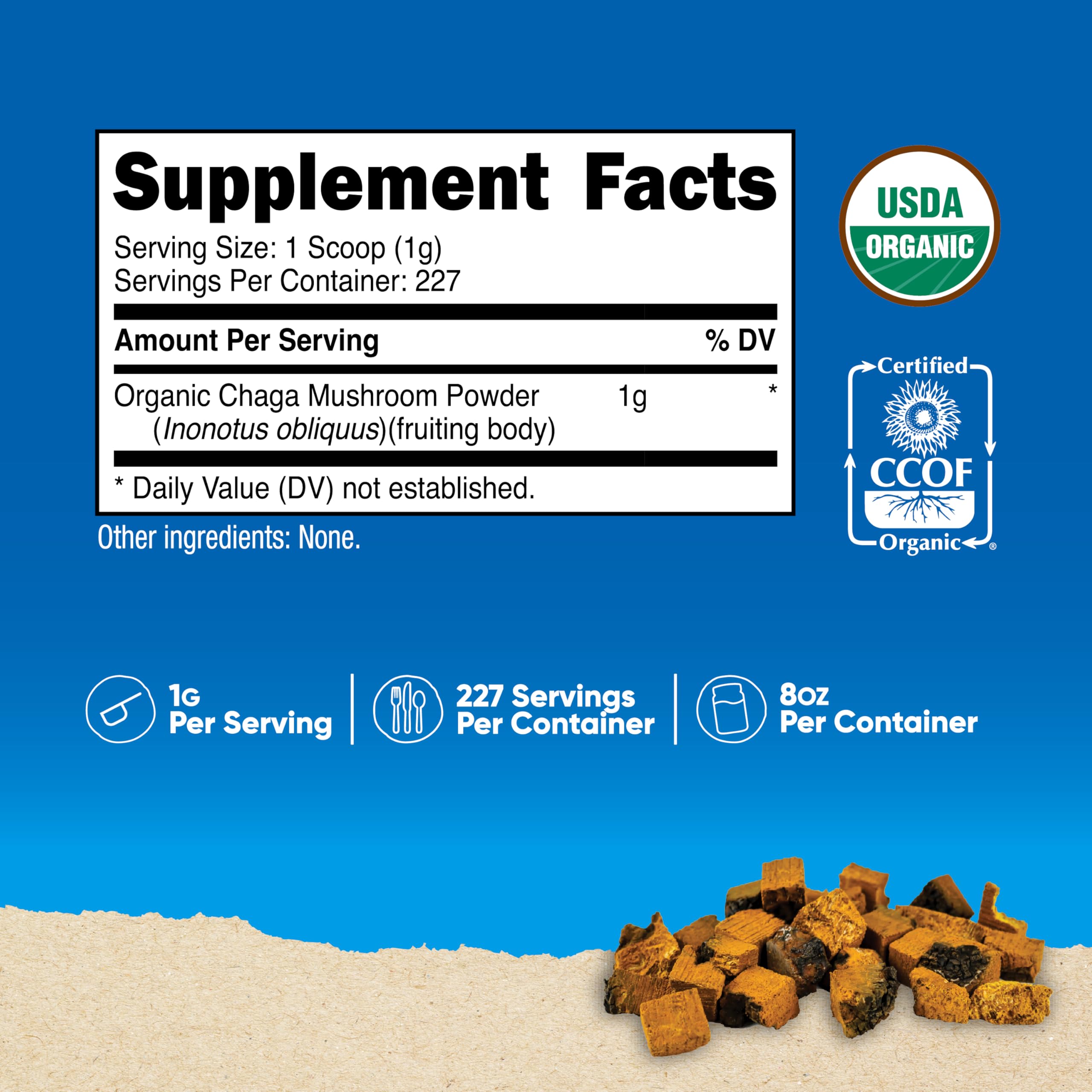 Close-up of Nutricost chaga powder scoop for precise, easy daily servings.