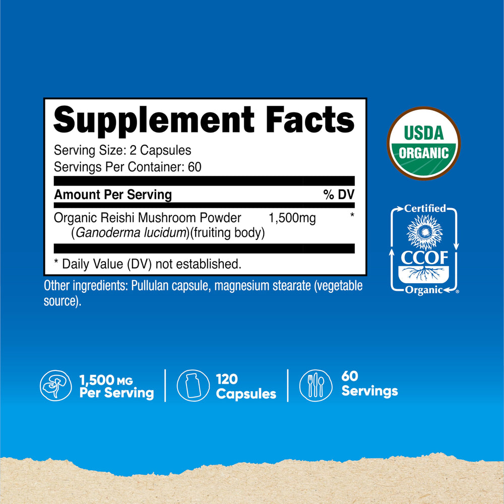 Nutricost Reishi capsule close-up, smooth and easy-to-swallow for daily routines.